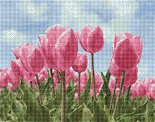 Money Back Guarantee Sky And Tulips Diamond Painting Kit