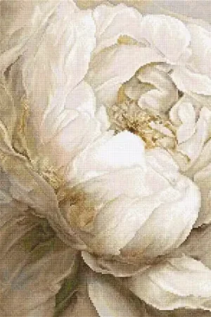 Peony Poses L8083 Counted Cross Stitch Kit Low Price