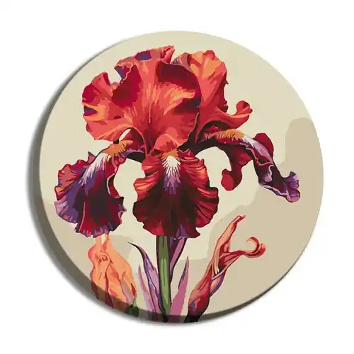Cheap Painting by Numbers kit Magic iris KHO-R1023