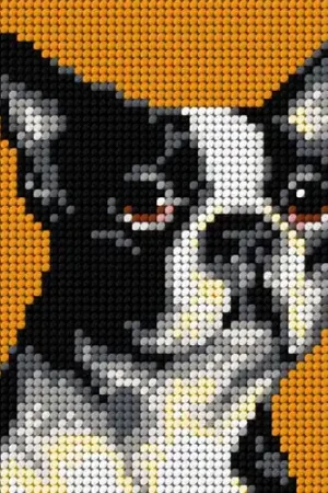 Gobelin canvas for halfstitch without yarn Boston Terrier 2719D Must Have
