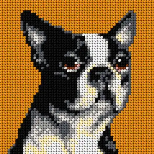 Gobelin canvas for halfstitch without yarn Boston Terrier 2719D Must Have