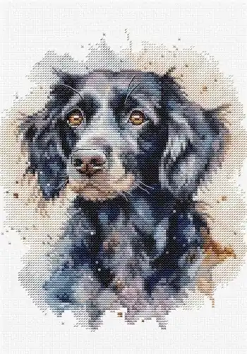 Cheap The Border Collie BC213L Counted Cross-Stitch Kit