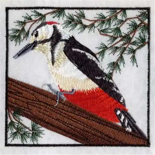 Woodpecker Square Embroidery Design Free Delivery