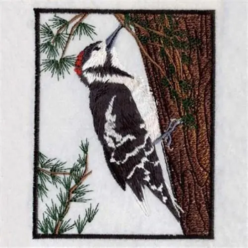 Woodpecker Tree Embroidery Design Factory Price