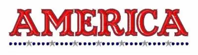 Limited Edition America Embroidery Design