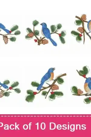 Backyard Bird Embroidery design pack by Ace Points, Embroidery Packs on EmbroideryDesigns.com Trusted Brand