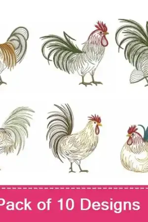 Best Seller Vintage Rooster Embroidery design pack by Ace Points, Embroidery Packs on EmbroideryDesigns.com