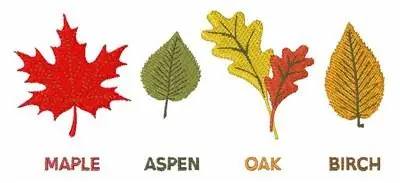 Fresh Stock Fall Tree Leaves Embroidery Design