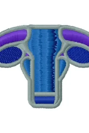 Editor’s Pick Santa Gertrudis Cattle Embroidery Design