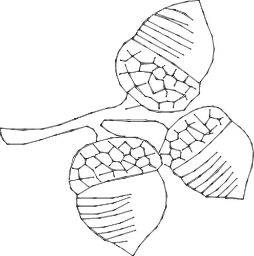 Acorns Embroidery Design Sale
