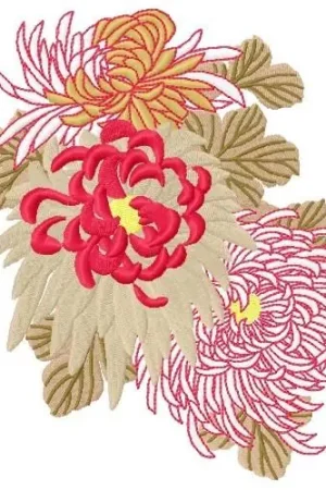 Editor’s Pick Chrysanthemumss Embroidery Design