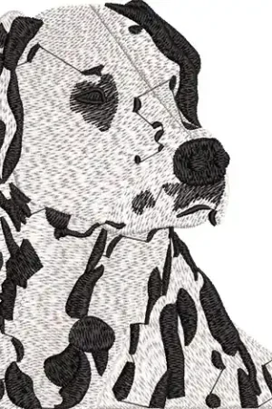 Buy Direct Dalmatian Dog Embroidery Design