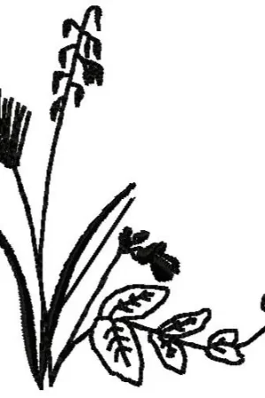 Black & White Flowers Embroidery Design Limited Edition