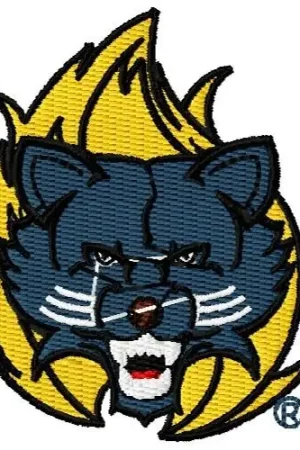 Authentic Rocket Raccoon Embroidery Design