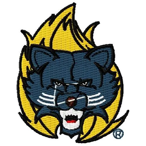 Authentic Rocket Raccoon Embroidery Design
