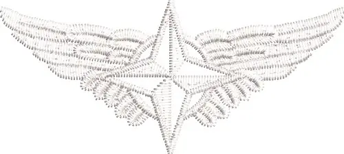 Air Force Airman Insignia Embroidery Design Don’t Miss Out