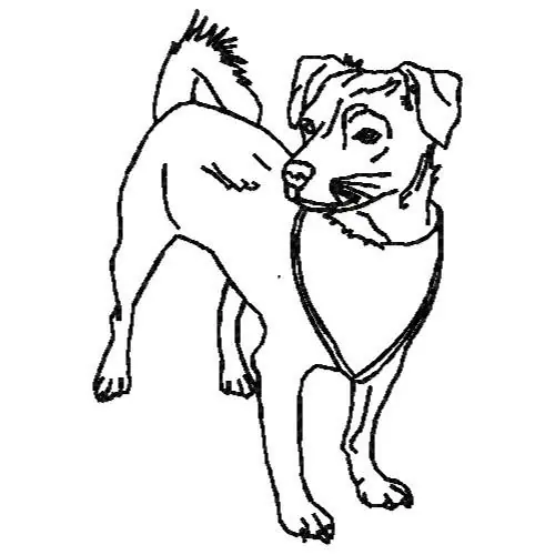 Playful Dog Outline Embroidery Design Save Now