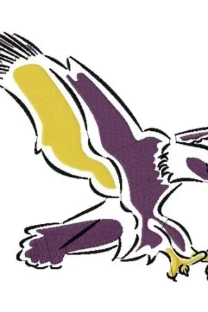Eagle Mascot Embroidery Design Editor’s Pick