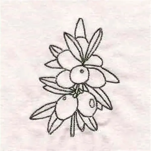 Order Now RW Olive Outline Embroidery Design