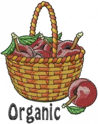 Apricot Organic Embroidery Design Direct From Manufacturer