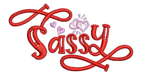 Sassy Embroidery Design Best Price