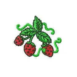 Strawberries Embroidery Design Instant Buy