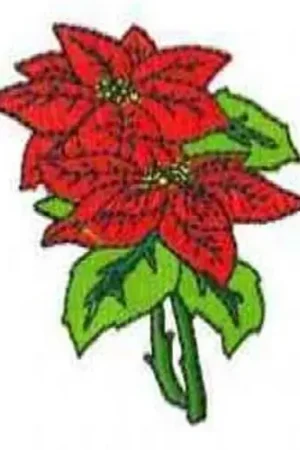 Poinsettia Flowers Embroidery Design Best Seller