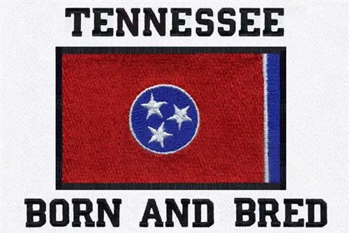 Wholesale Tennessee Born Embroidery Design