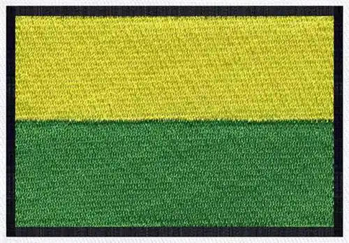 The Hague Netherlands Embroidery Design Genuine