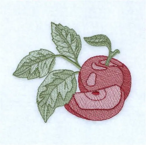 Today Only Fall Apple Toile Embroidery Design