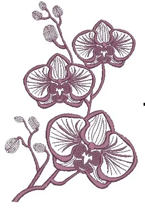Orchid Embroidery Design Don’t Miss Out