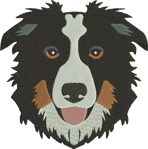Save Now Border Collie Embroidery Design