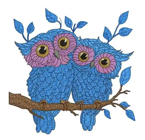 Owl Couple Embroidery Design Place Order