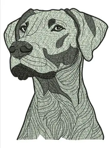 Dog Head Embroidery Design Super Sale