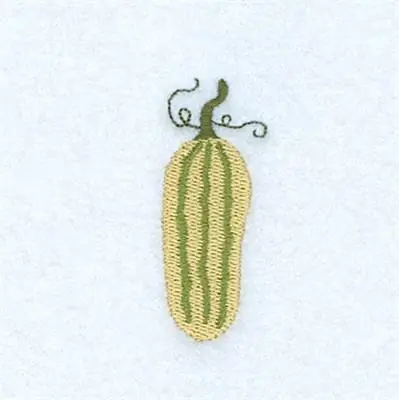 Squash Embroidery Design Direct From Manufacturer