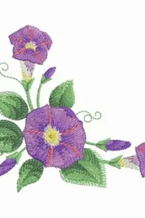 Authentic Morning Glories Corner Embroidery Design